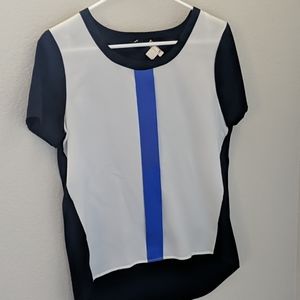 JCrew Silky Colorblock Blouse
